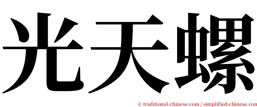 光天螺 serif font