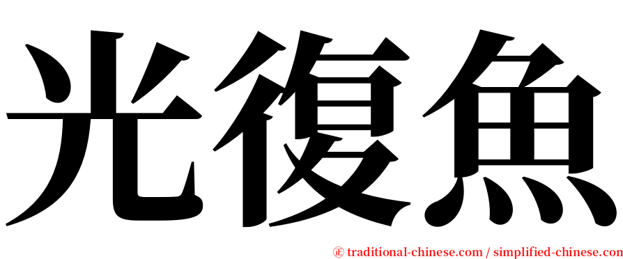 光復魚 serif font