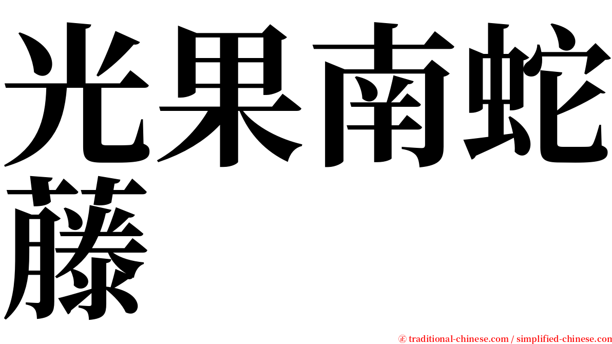 光果南蛇藤 serif font