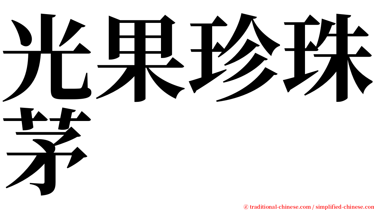 光果珍珠茅 serif font