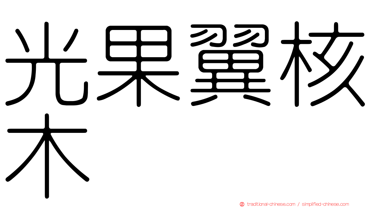 光果翼核木