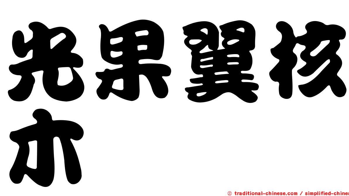 光果翼核木