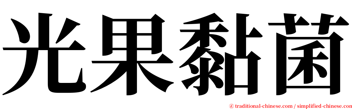 光果黏菌 serif font