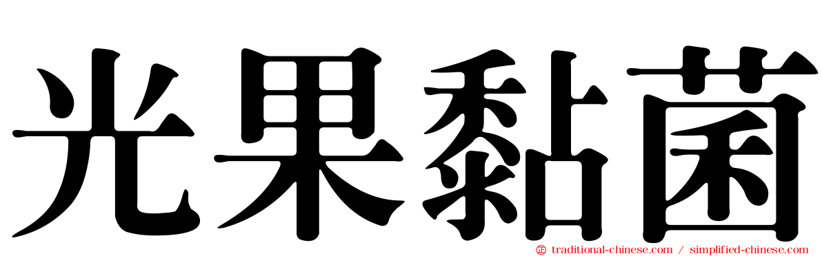光果黏菌