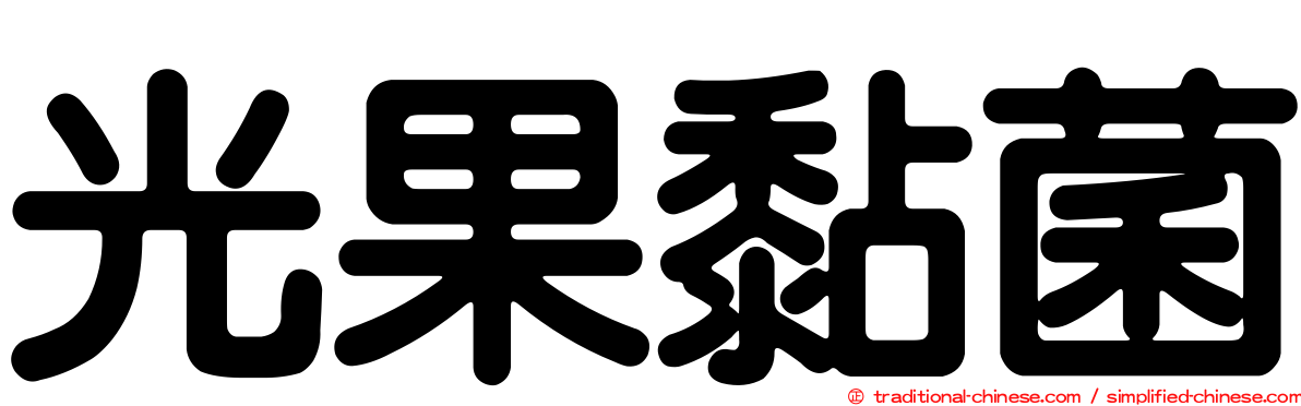 光果黏菌