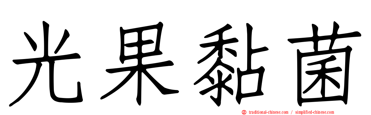 光果黏菌