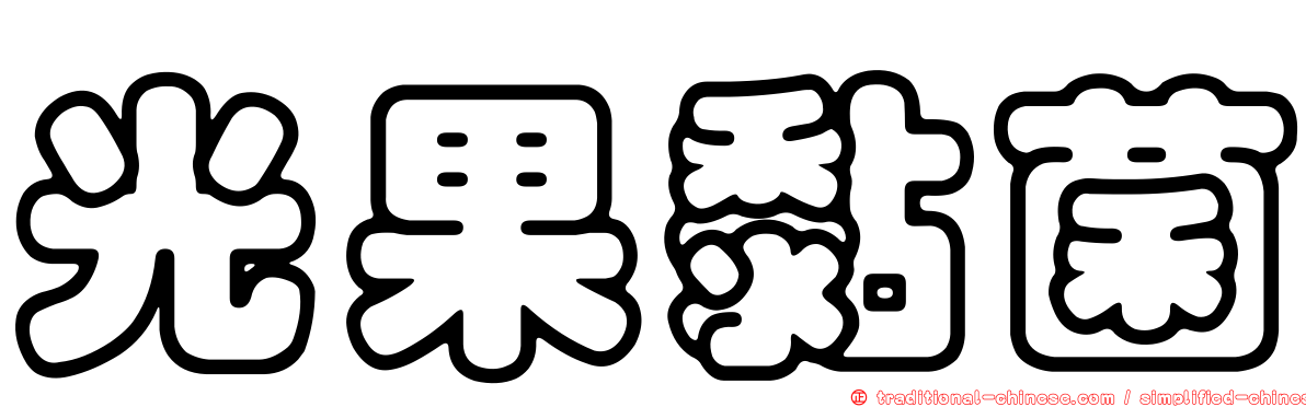 光果黏菌