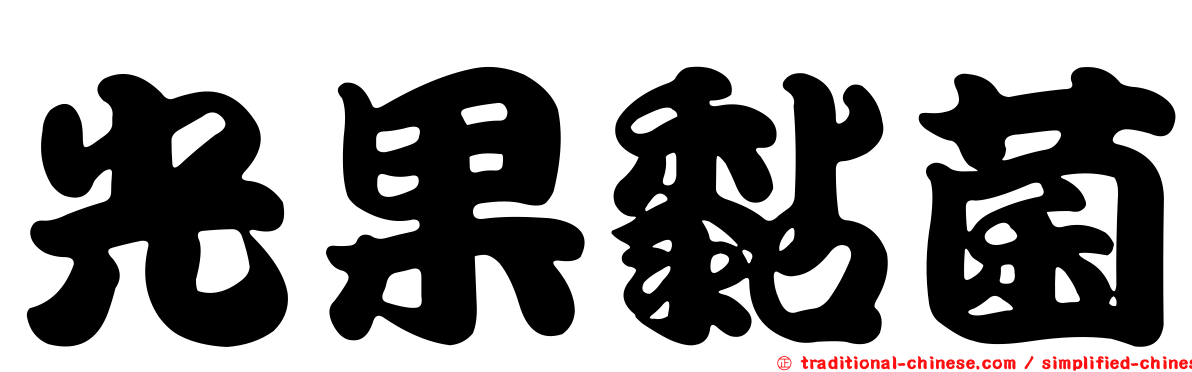 光果黏菌