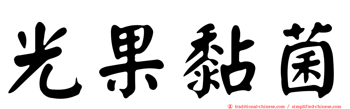 光果黏菌
