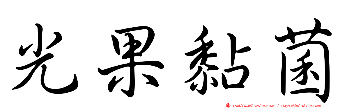 光果黏菌