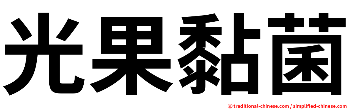 光果黏菌