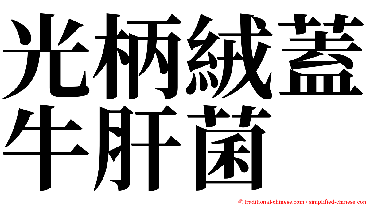 光柄絨蓋牛肝菌 serif font