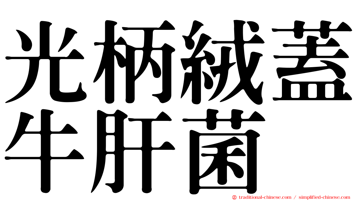 光柄絨蓋牛肝菌