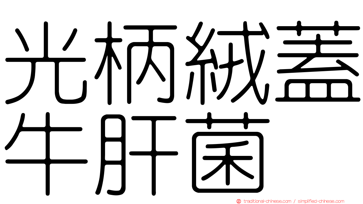 光柄絨蓋牛肝菌