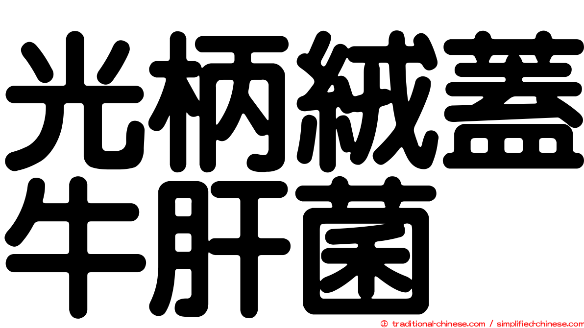 光柄絨蓋牛肝菌