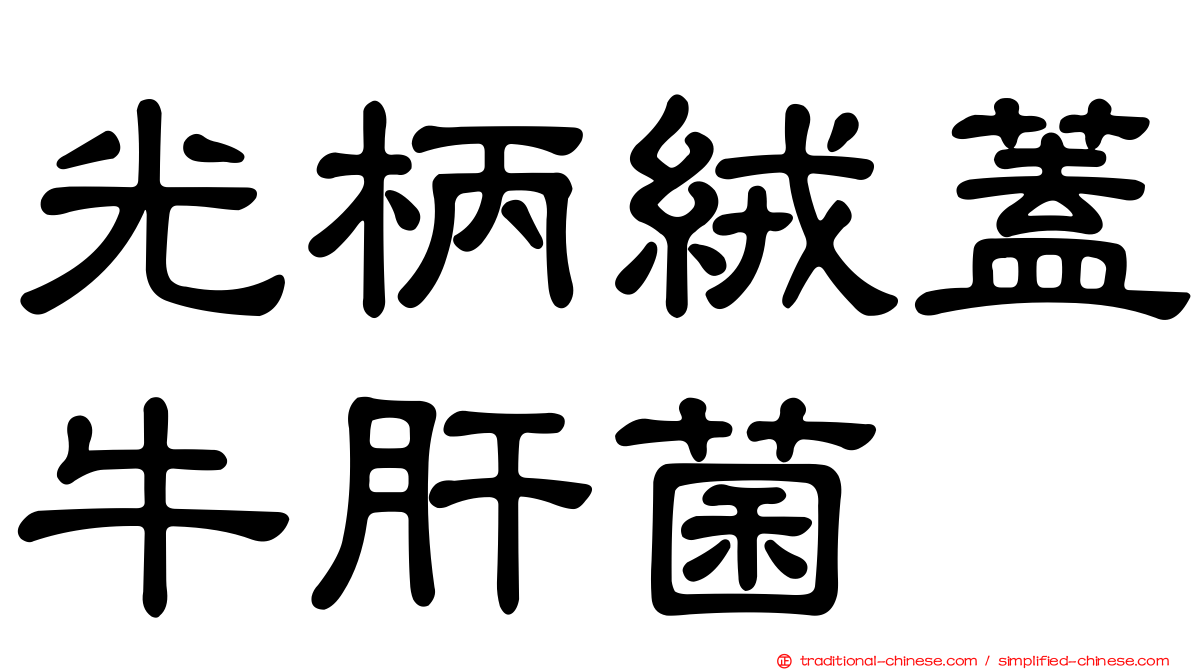 光柄絨蓋牛肝菌