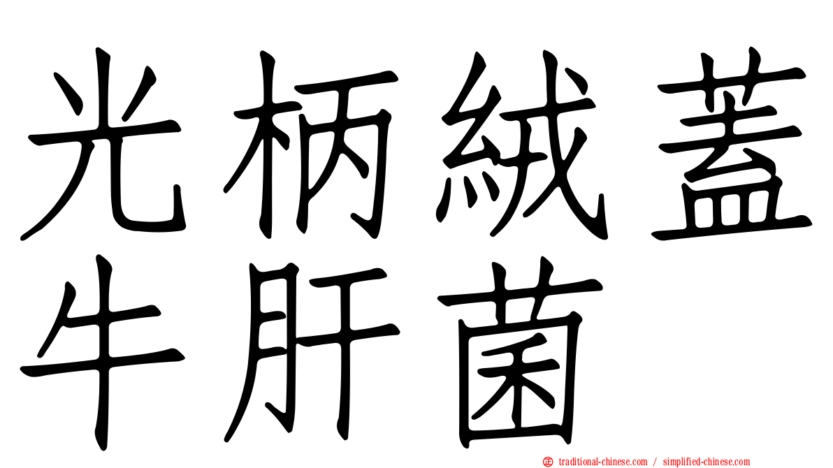 光柄絨蓋牛肝菌