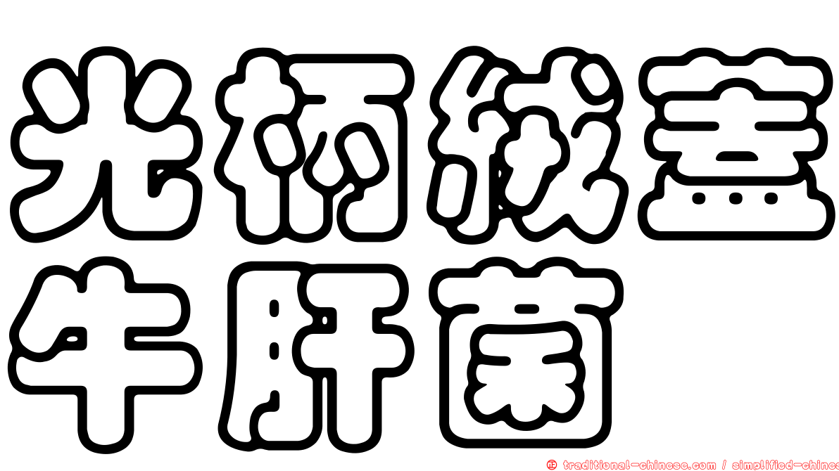 光柄絨蓋牛肝菌