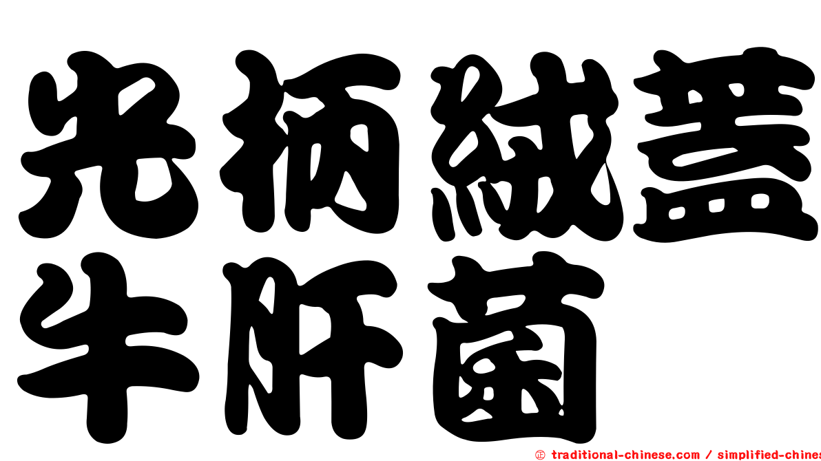 光柄絨蓋牛肝菌