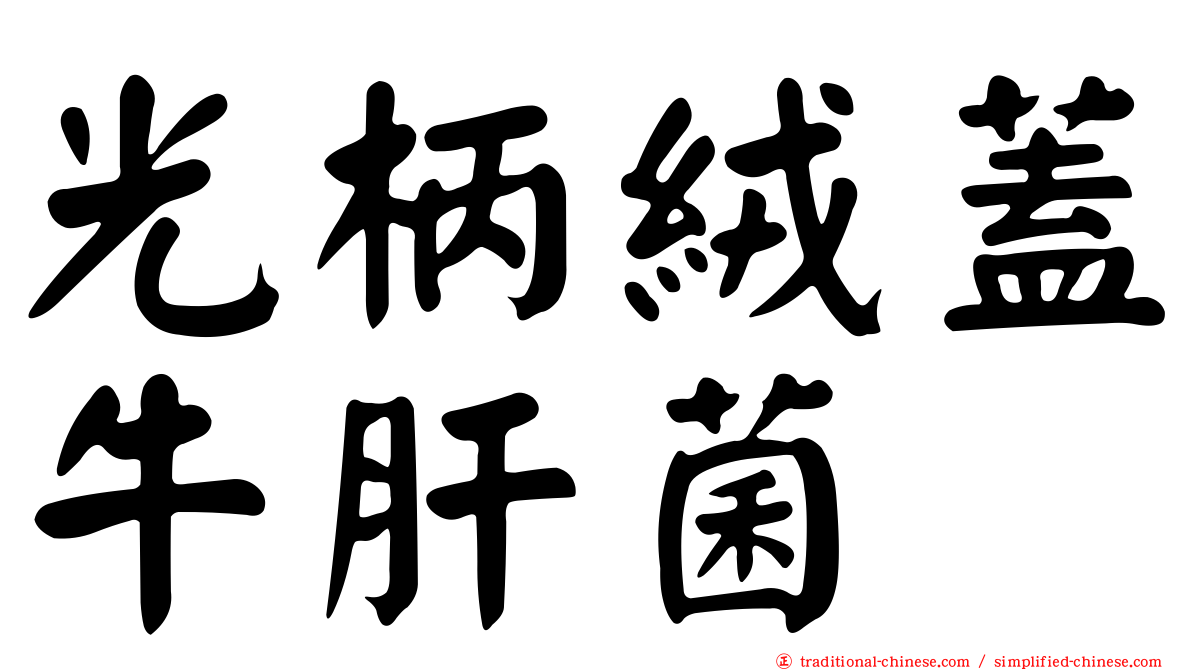 光柄絨蓋牛肝菌