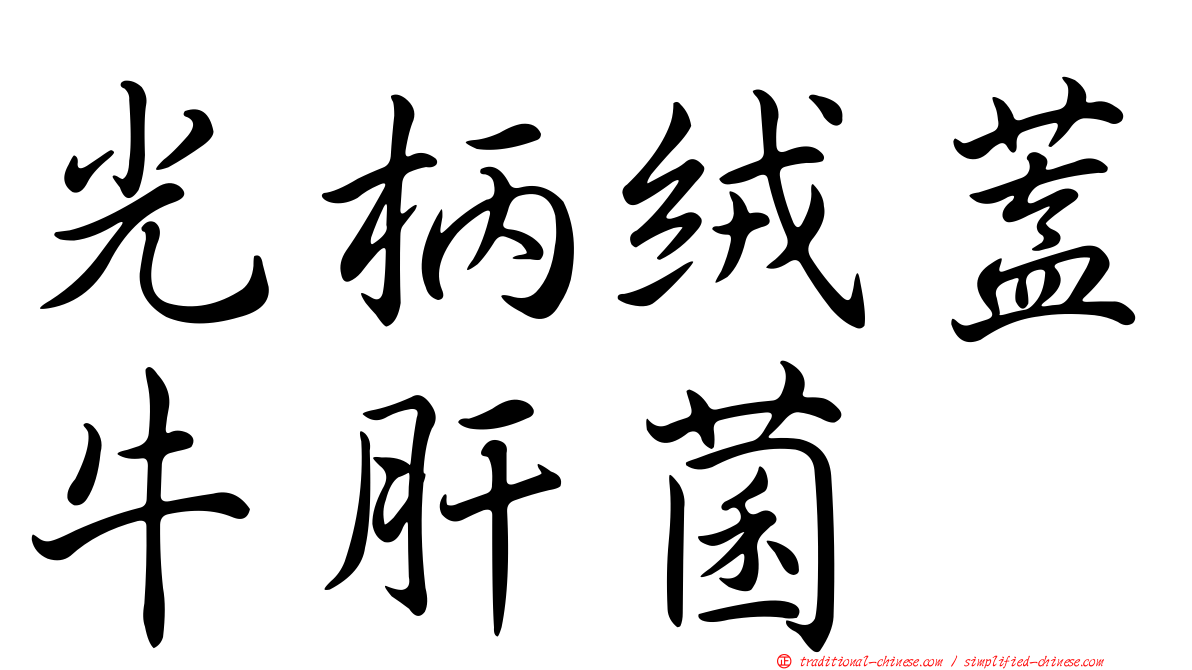 光柄絨蓋牛肝菌