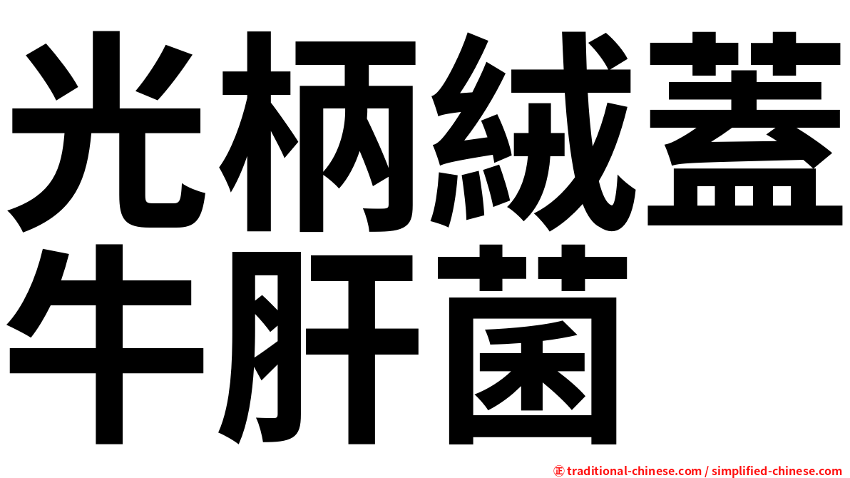 光柄絨蓋牛肝菌