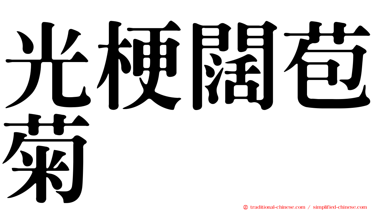 光梗闊苞菊