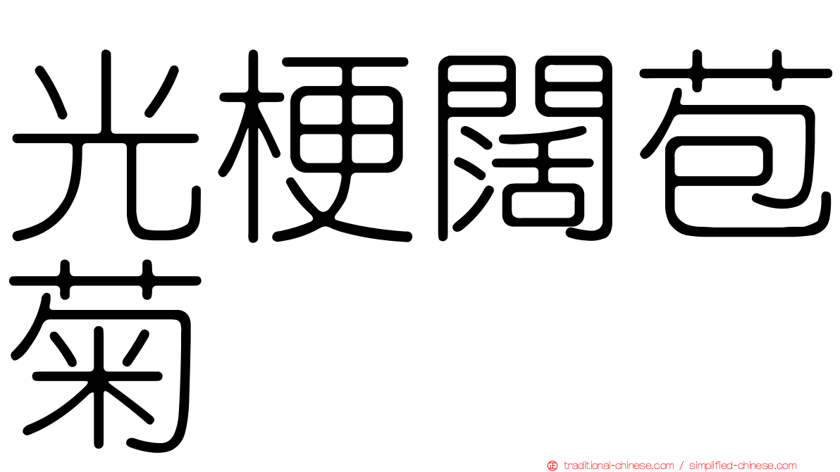 光梗闊苞菊