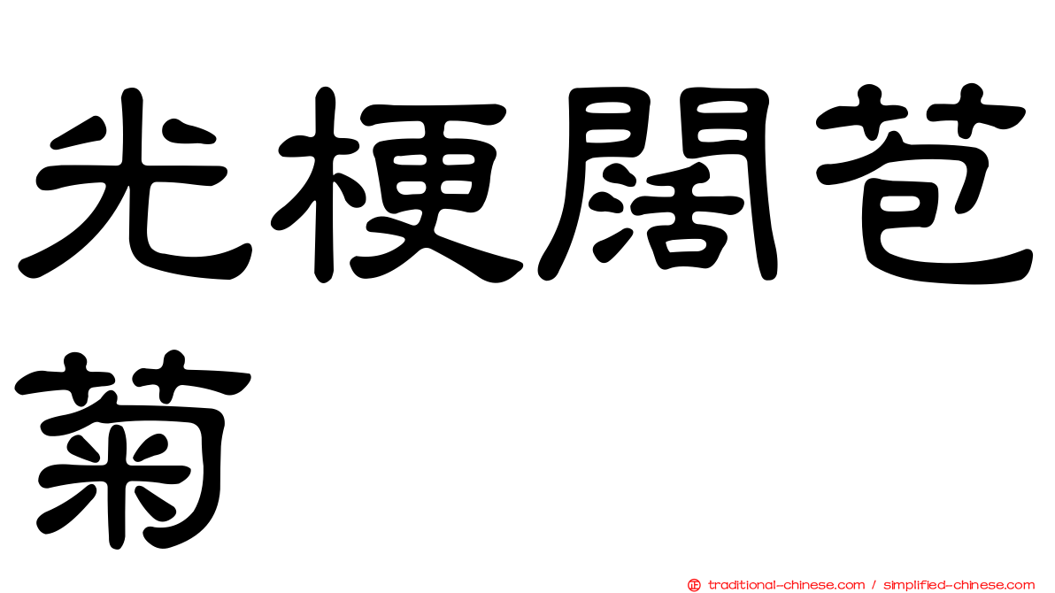 光梗闊苞菊