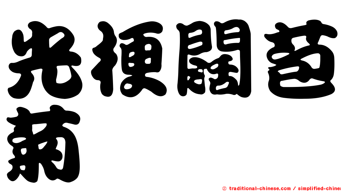 光梗闊苞菊