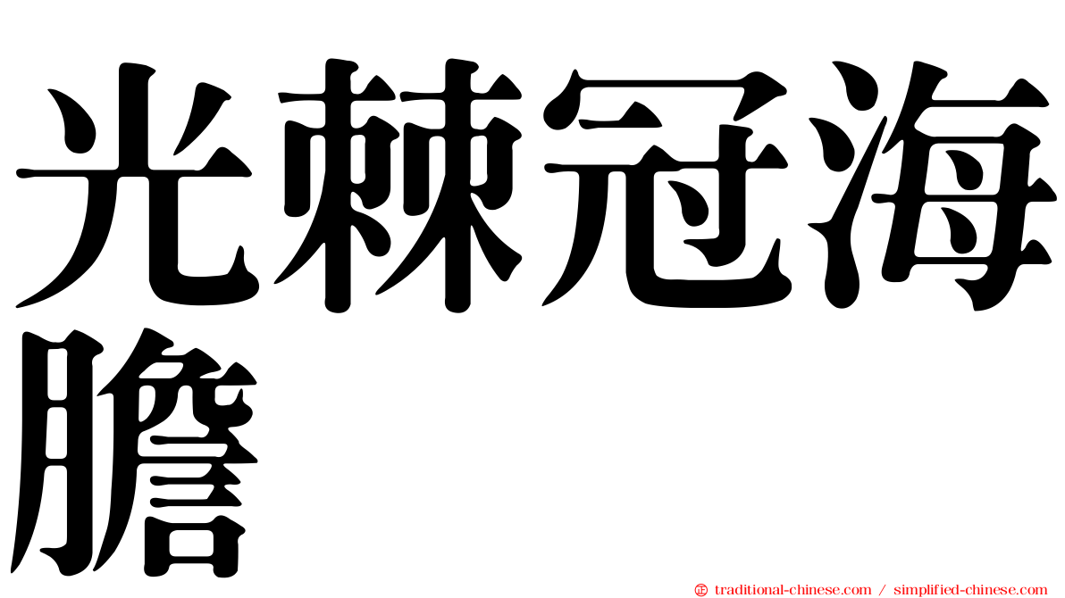 光棘冠海膽