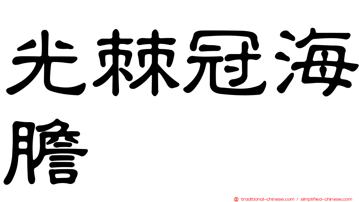 光棘冠海膽