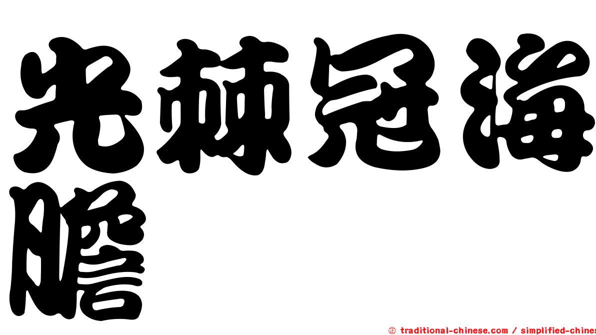 光棘冠海膽