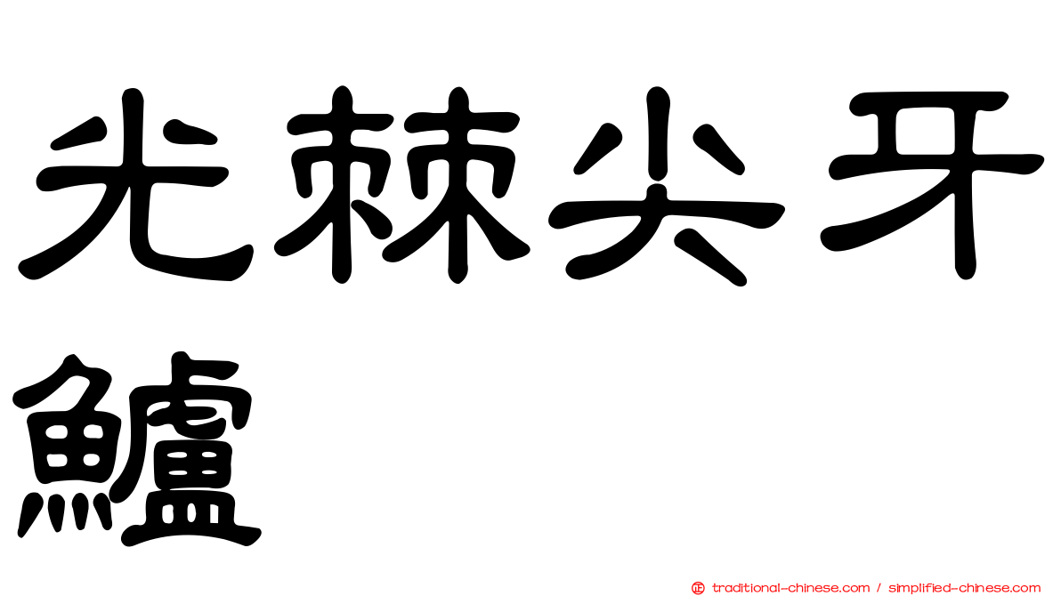 光棘尖牙鱸