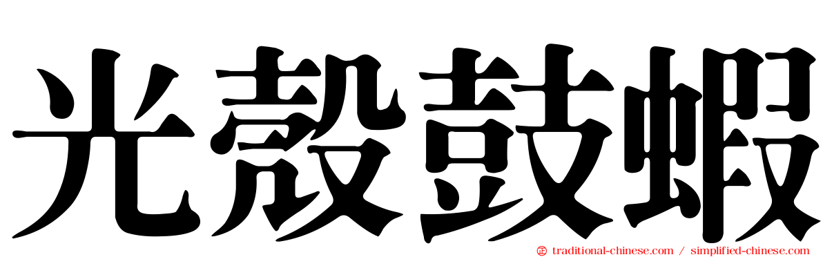 光殼鼓蝦