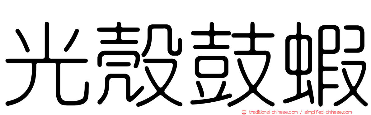 光殼鼓蝦