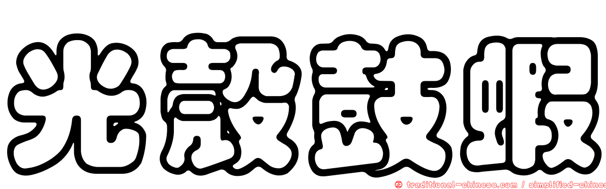 光殼鼓蝦