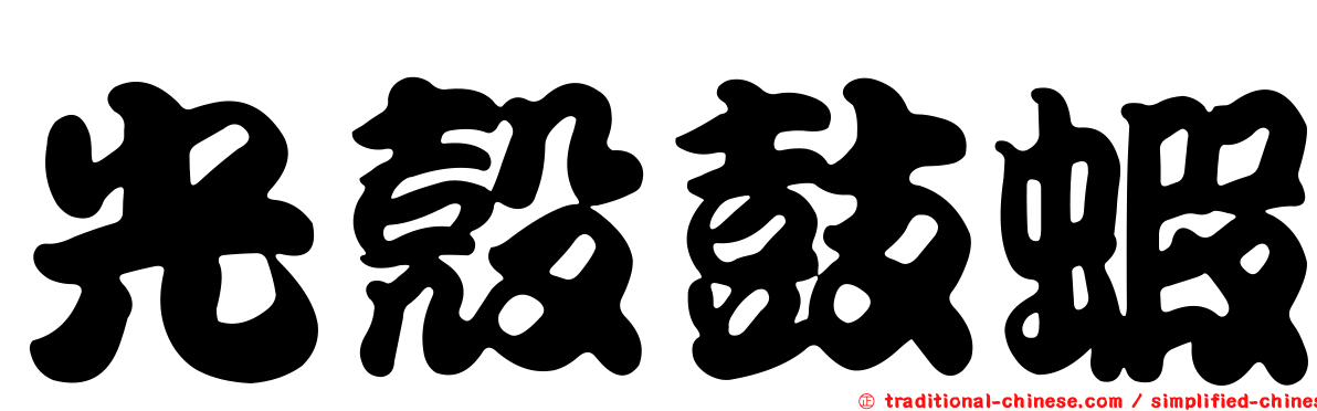光殼鼓蝦