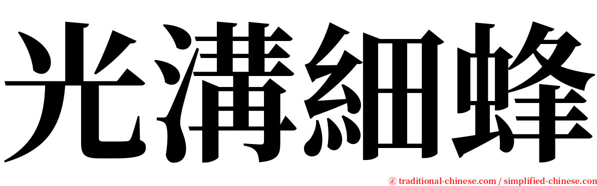 光溝細蜂 serif font