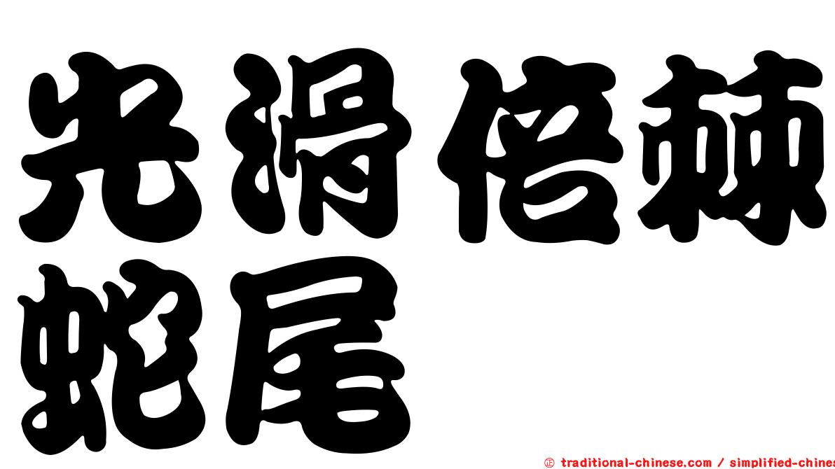 光滑倍棘蛇尾