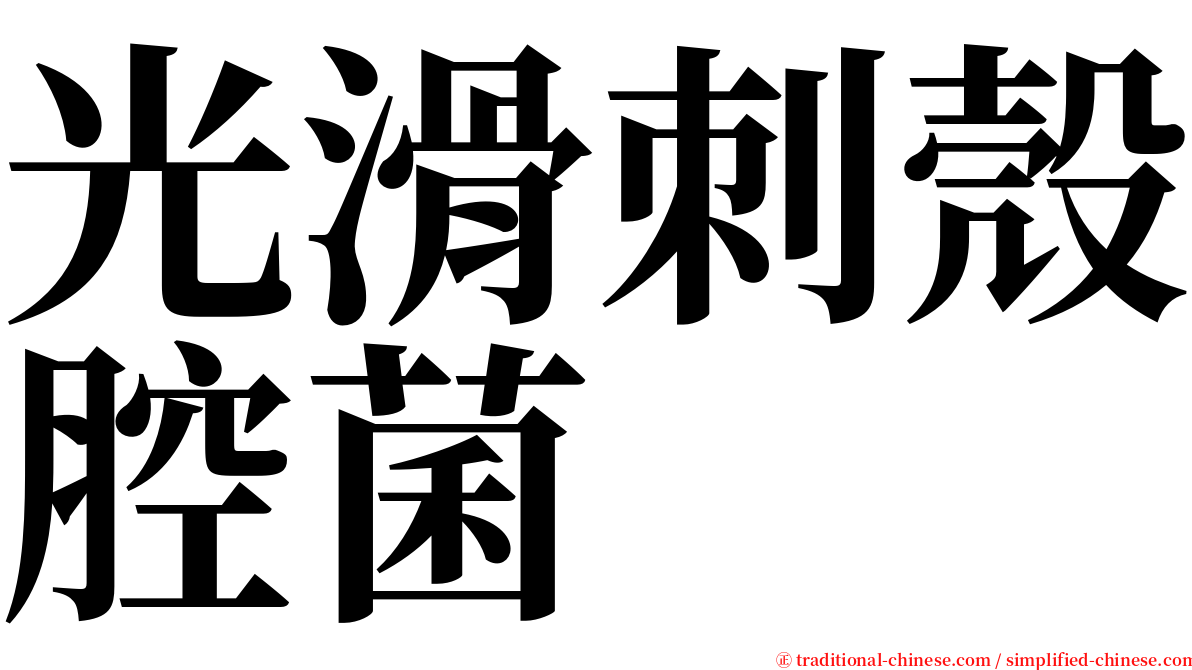 光滑刺殼腔菌 serif font