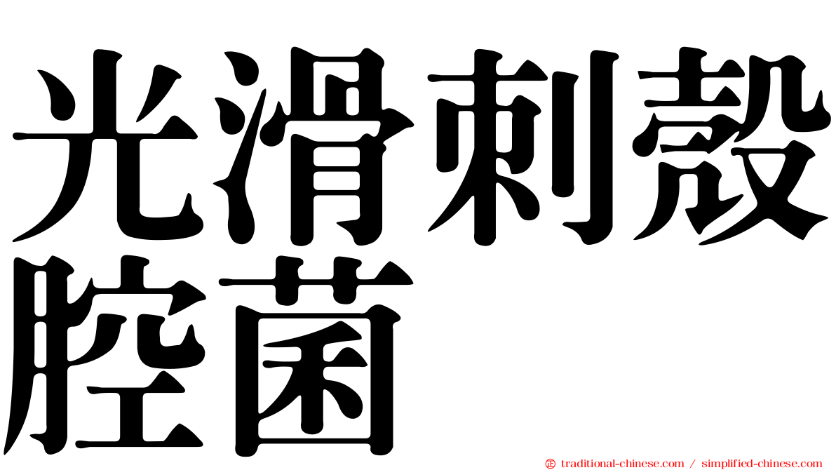 光滑刺殼腔菌