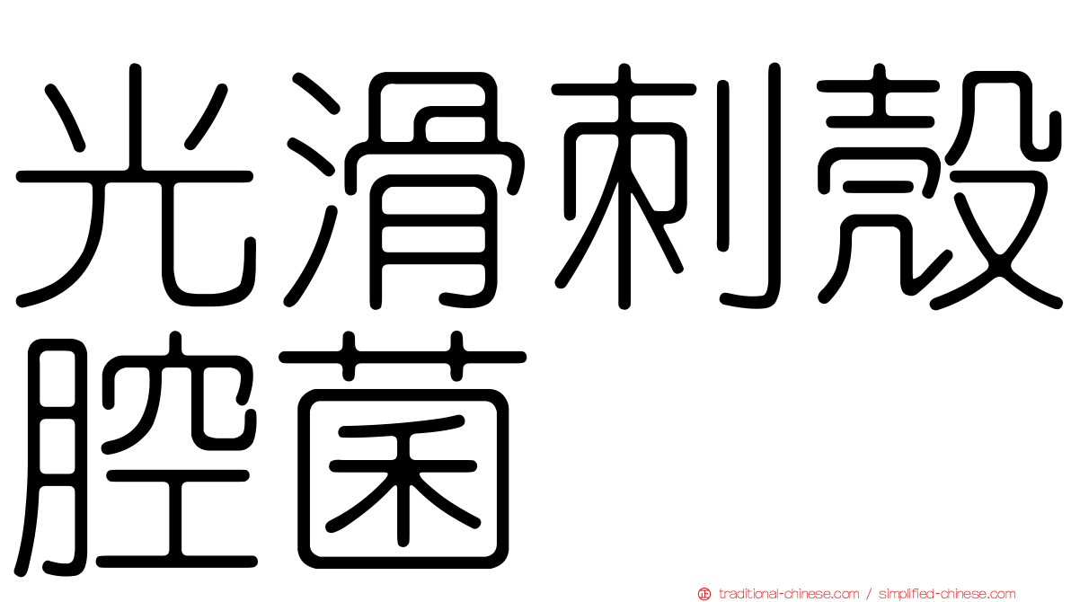 光滑刺殼腔菌
