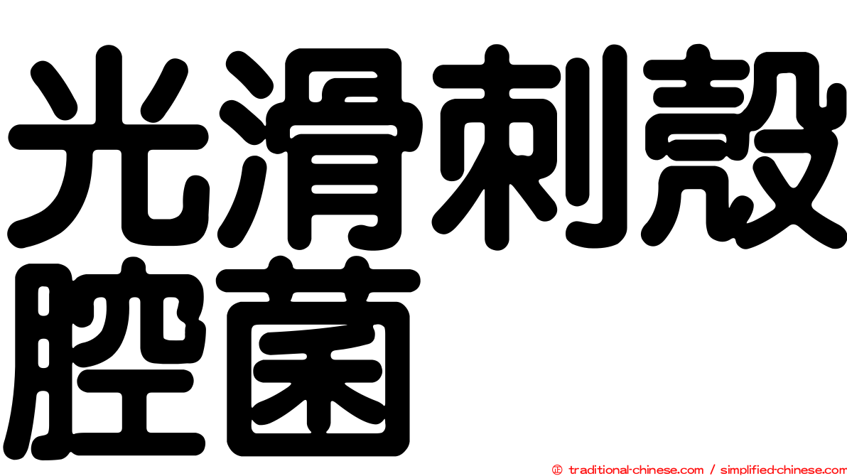 光滑刺殼腔菌
