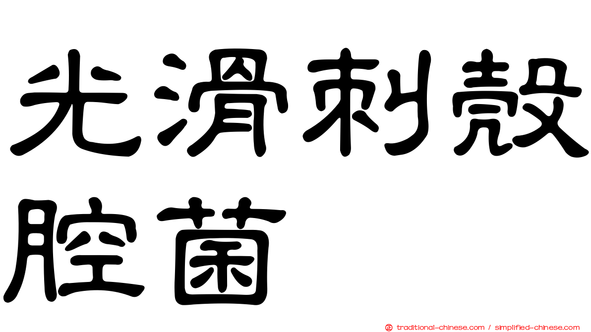 光滑刺殼腔菌