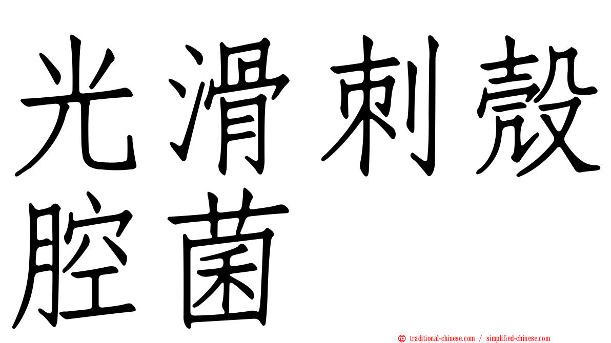 光滑刺殼腔菌