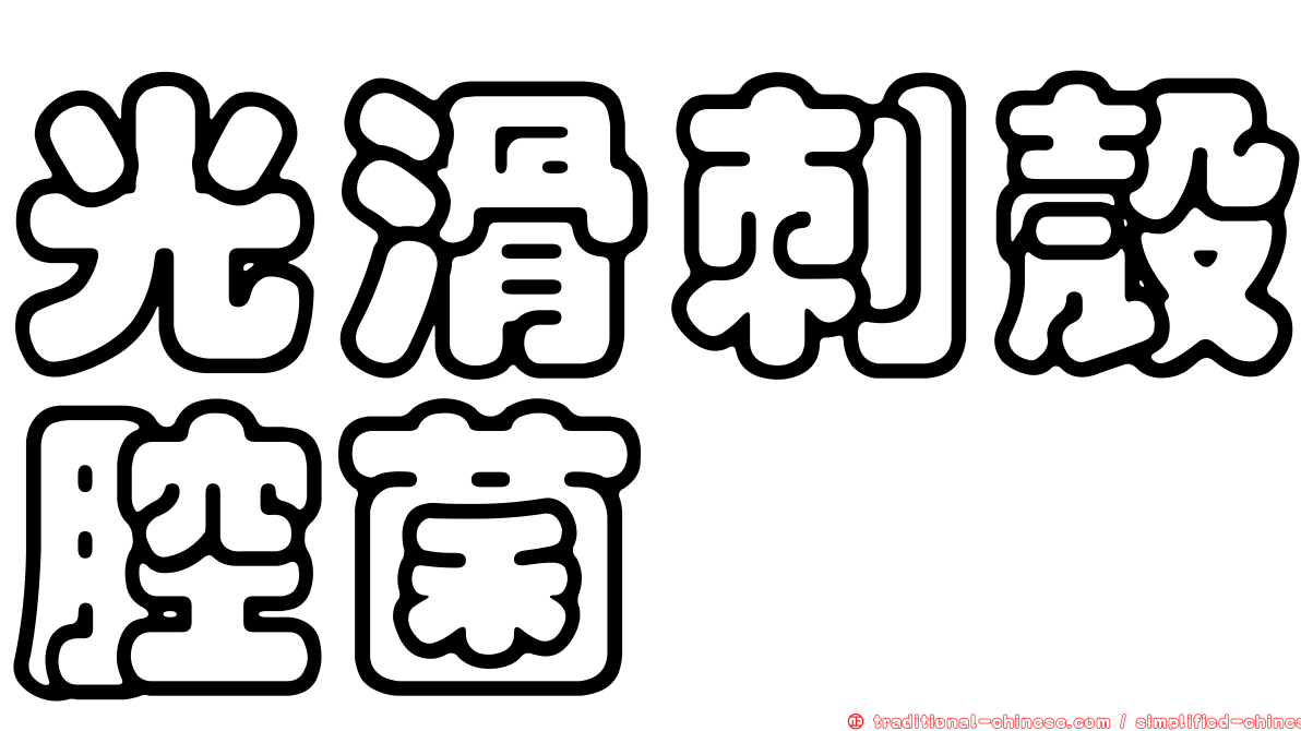 光滑刺殼腔菌