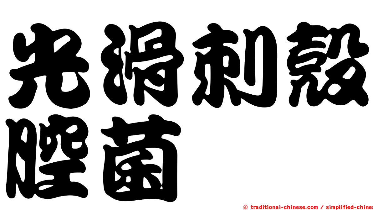 光滑刺殼腔菌