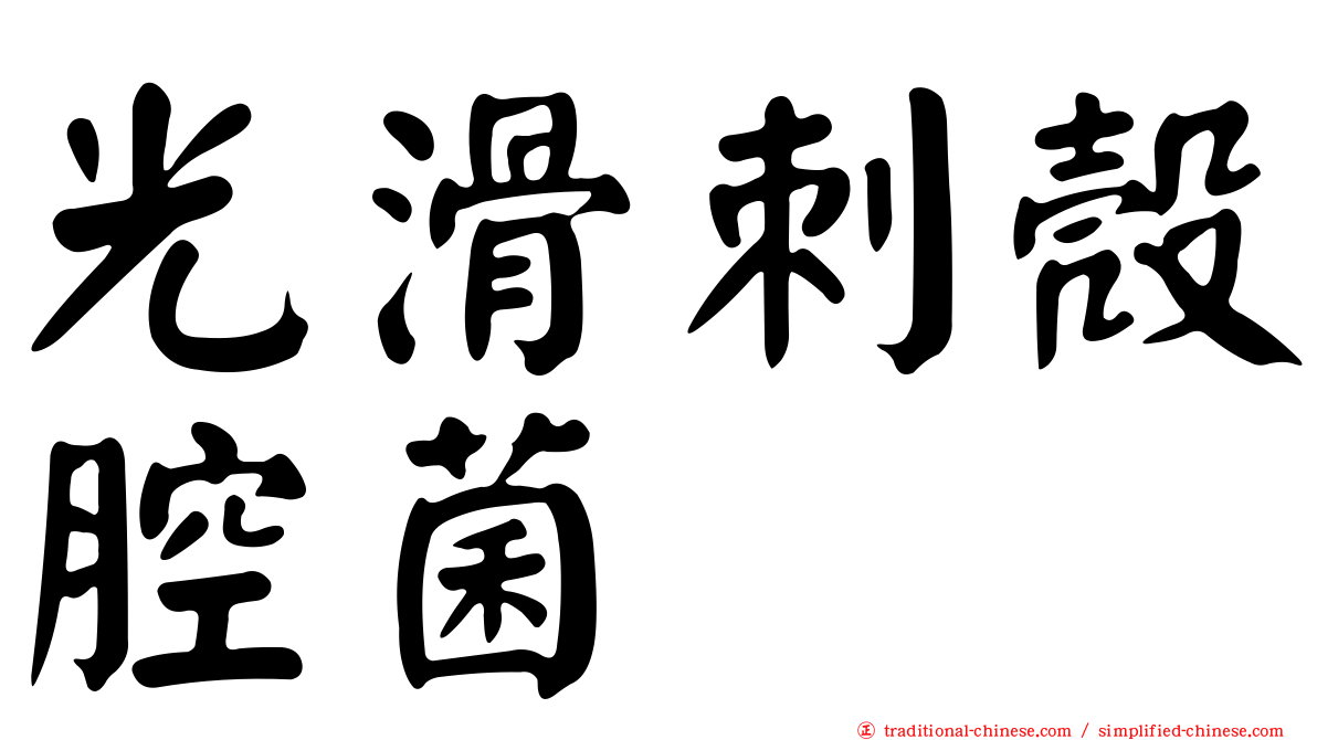 光滑刺殼腔菌