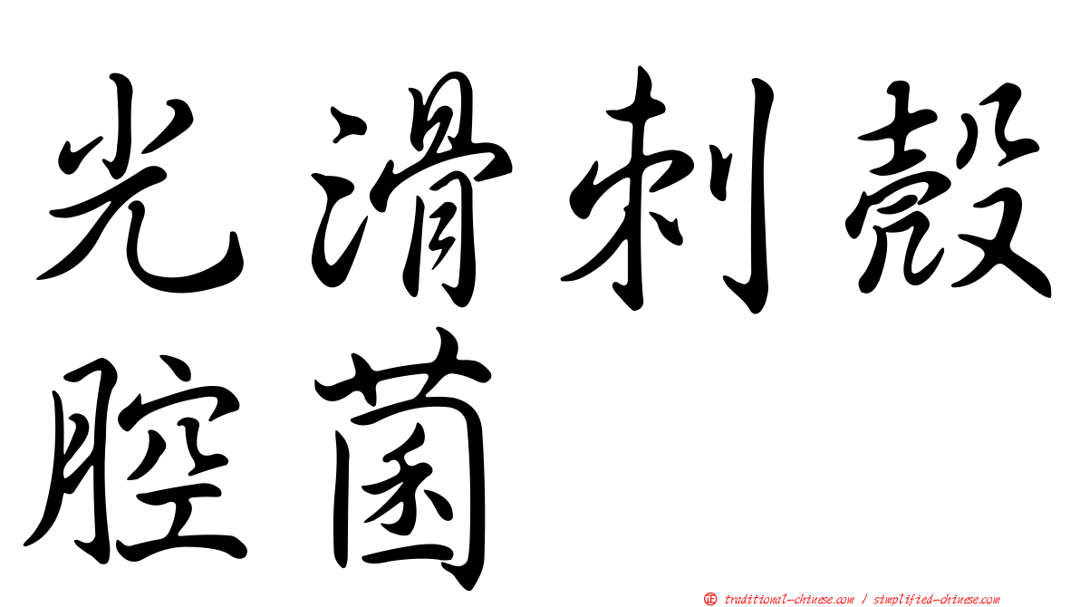 光滑刺殼腔菌